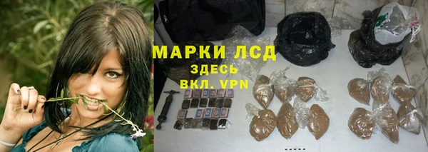 стафф Кинешма