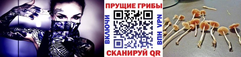 купить Ялуторовск Псилоцибиновые грибы ЛСД