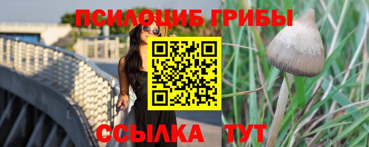 как найти   Галлюциногенные грибы мицелий  Вход с VPN  Ялуторовск  Псилоцибиновые грибы Psilocybe 
